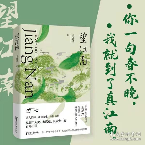 江南历史文化传承与现代生活交融的最新篇章